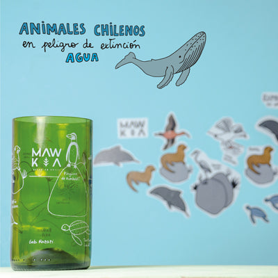 Set Vasos Animales Chilenos Mawka